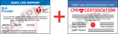 Sample American Heart Association AHA BLS CPR Card Certification and First Aid Certification Card from CPR Certification Minneapolis