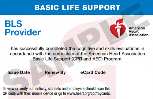 Sample American Heart Association AHA BLS CPR Card Certification from CPR Certification Minneapolis