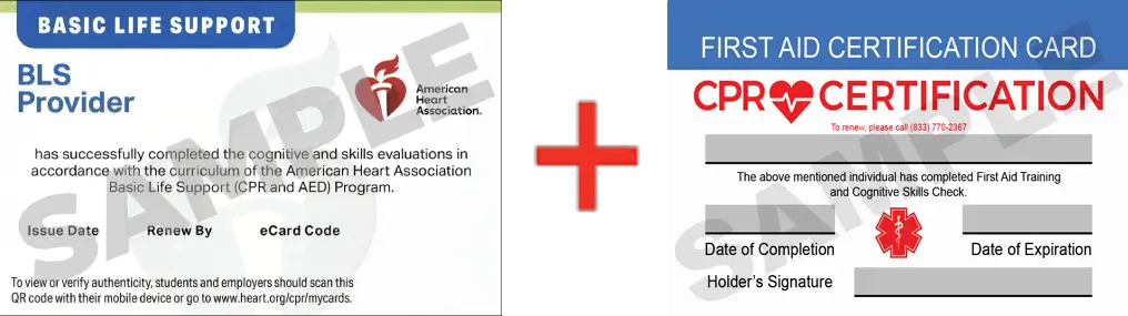 Sample American Heart Association AHA BLS CPR Card Certification and First Aid Certification Card from CPR Certification Minneapolis