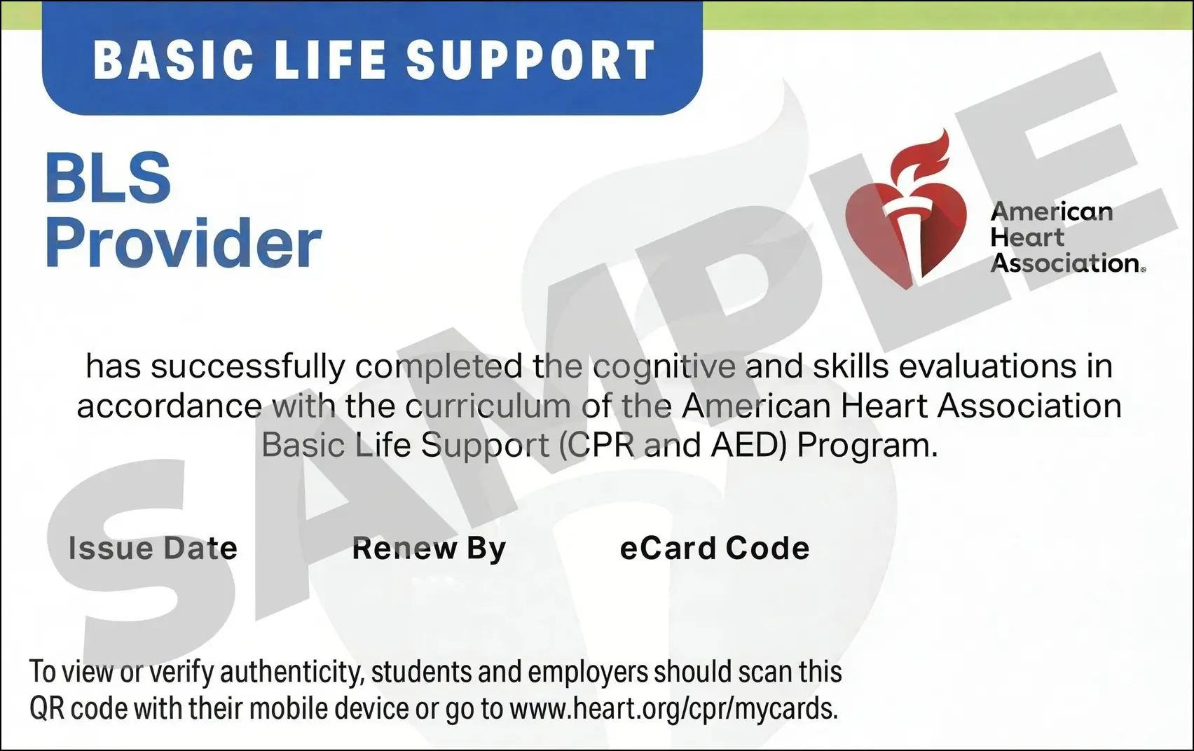 Sample American Heart Association AHA BLS CPR Card Certification from CPR Certification Minneapolis